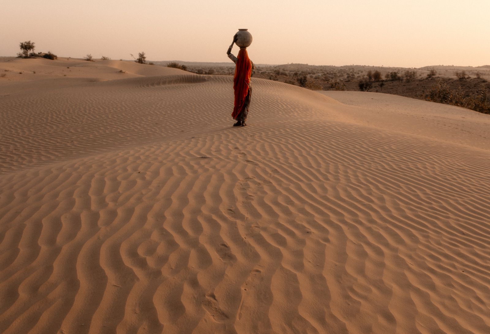Desert scene